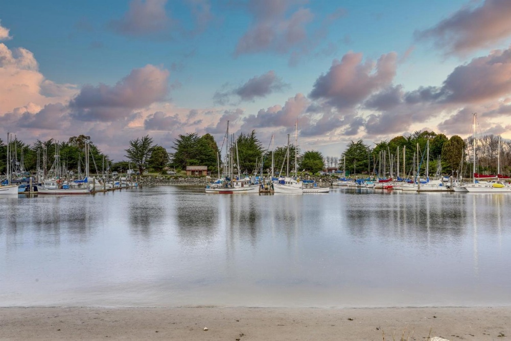 Lilac Victorian Main image